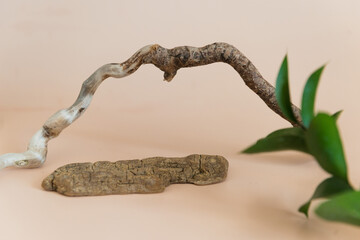 Empty podium natural material tree beige background. Product presentation with fresh plant decor.
