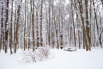 The Tsaritsyno Museum in the city. The business card of Moscow. A beautiful palace on the estate. Travel and tourism in Russia