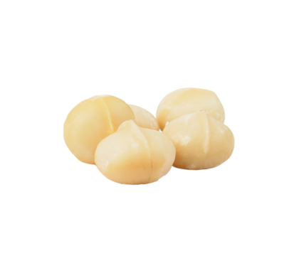  macadamia nut on  transparent png