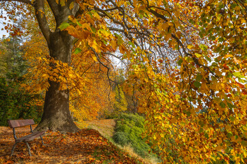 Obraz premium View of the Natural reserve of the Burcina 