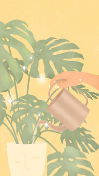 hand watering a beautiful Monstera plant with sparkling stars