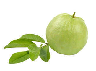 Fresh guava isolated on transparent png