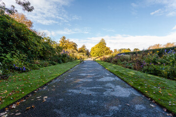 Path through a park with trees in the distance with blue sky