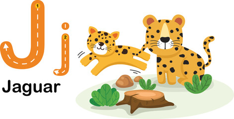 Alphabet Letter J-Jaguar with cartoon vocabulary illustration, vector © Jehsomwang