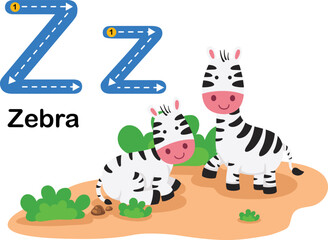 Alphabet Letter Z-Zebra with cartoon vocabulary illustration, vector