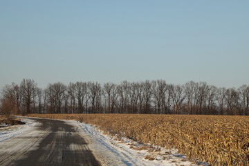 Countryside road in snowy winter