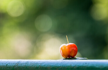Ein kleiner Apfel mit unscharfem Hintergrund