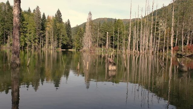 Lake view at Karagol,Artvin,Turkey