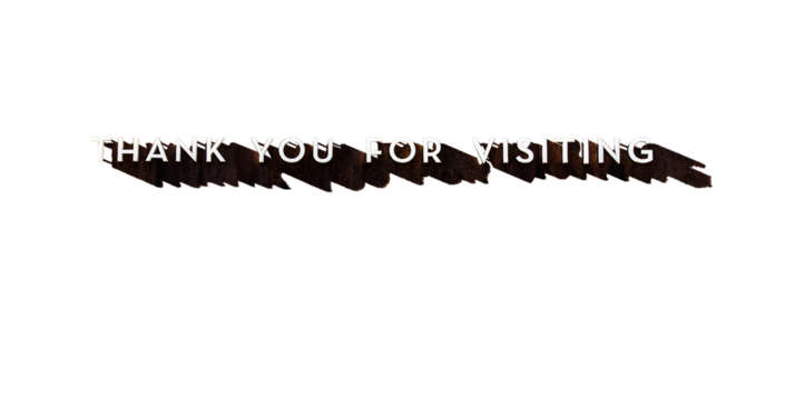 "Thank you for visiting" - 3D letters mounted to a wall, with well pronounced shade.