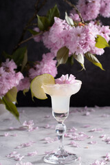 Spring still life with a glass of cold Margarita with lime, pink sakura flowers 