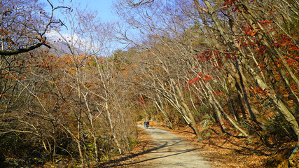a mountain path in the Autumn