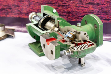 Cross section present detail in side of high pressure internal gear pump or rotary gear pump for...