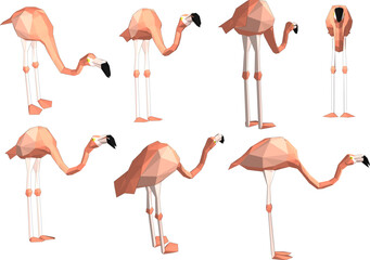 Flamingo Bird vector design with white background