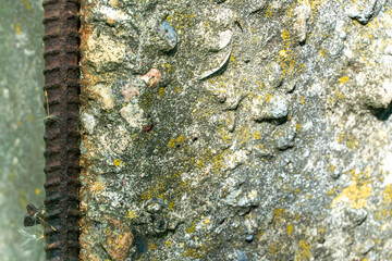 Old rusty reinforced concrete slab background. Destroyed on a construction site. A mixture of concrete and metal reinforcing profiles.