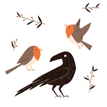 two Robins and a Crow -  illustration of birds and berries