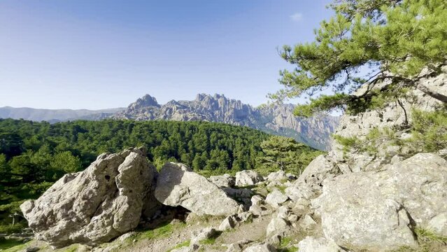 Walking to very rocky Corsican mountain range of the Aiguilles de Bavella in summer, very tall and wide massif of France, near Zonza in Conca forest, with some trees in bottom
