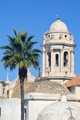 Fototapeta na wymiar Detalles de la Catedral de Cádiz, Andalucía