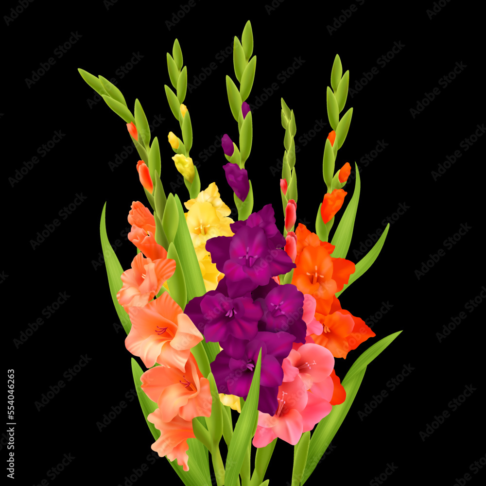 Wall mural Realistic Gladiolus Flowers