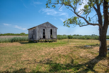 Dilapidated shack on a rural field with tree.