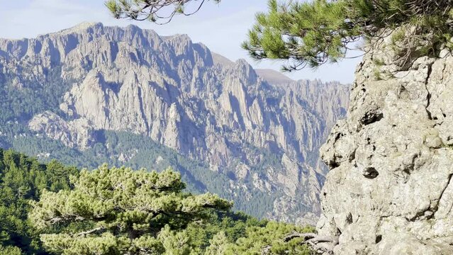 Very rocky Corsican mountain range of the Aiguilles de Bavella in summer, very tall and wide massif of France, near Zonza in Conca forest, with some trees in bottom