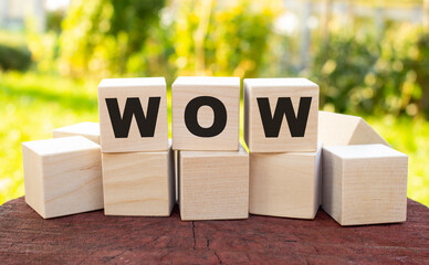 The word WOW is made up of wooden cubes lying on an old tree stump against a blurred garden background.