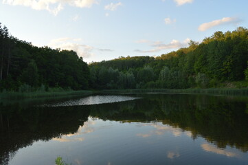 Fototapeta na wymiar lago en el bosque con cielo azul
