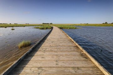 Fototapeta premium wooden path