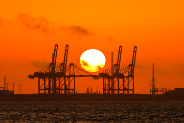 Fototapeta na wymiar Sunset between cranes