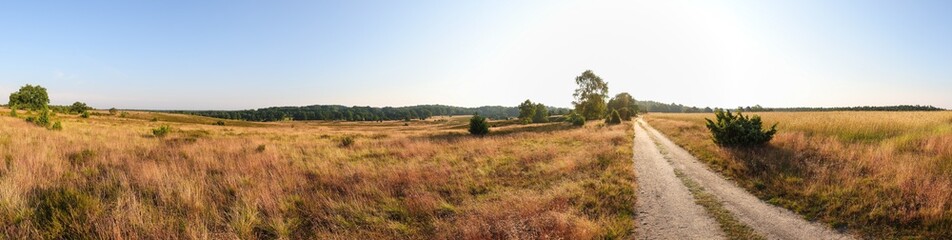 Fototapeta na wymiar Lüneburgerheide Panorama