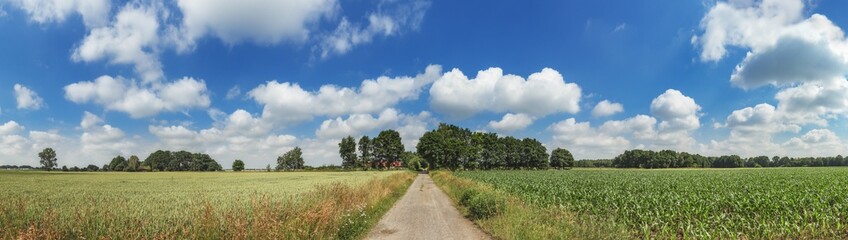 Fototapeta na wymiar Countryside panorama