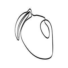 Continuous one line drawing mango. Vector illustration. Black line art on white background.