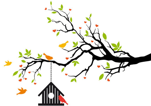 Tree brach with a birdhouse and birds, new home concept,  illustration over a transparent background, PNG image
