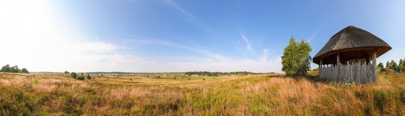 Obraz na płótnie Canvas landscape with a field of grass