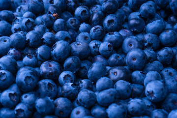 Fresh blueberry background. Texture blueberry berries close up.