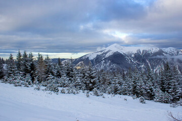 Fototapeta na wymiar Winter landscape - Rax Mountain in the Austrian Alps