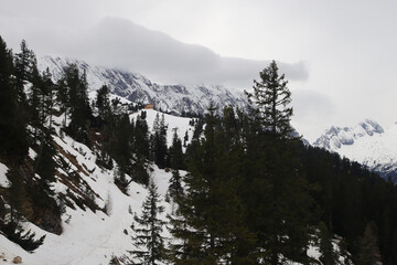 The path to Schachenhaus, Garmisch-Partenkirchen, Germany