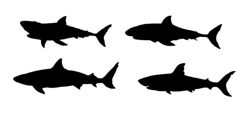 Set of shark silhouette 