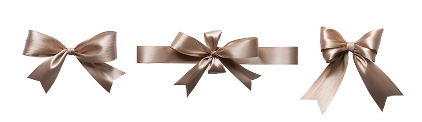Set of brown bow ribbon isolated background. Realistic horizontal ribbon with knot for ornament and decoration