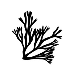 Sea fan coral, black silhouette, illustration over a transparent background, PNG image