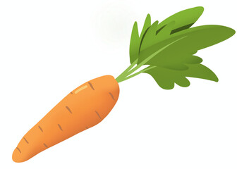 beautiful carrot with leaf. Illustration. Isolated