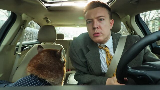 Portrait attractive businessman in a hurry drinking coffee driving speak with a friend dog. Husky wear suit sitting in a car on sunny day. Cute pet. Smiling. Travel together. Close up