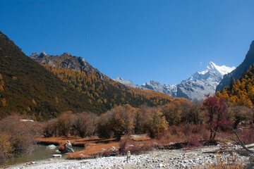 Chonggu meadow, Yading National Nature Reserve 