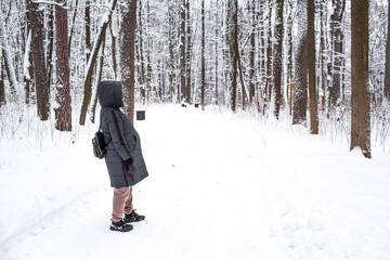 Obraz premium Snow-covered trees. A pregnant woman walks in the park. Breathing fresh air. Pregnancy and childbirth.