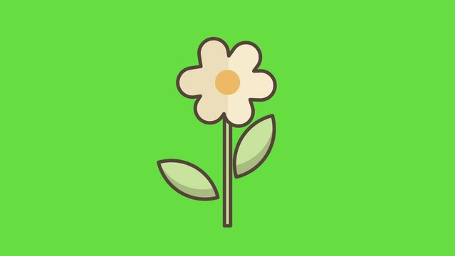 4k vertical video of cartoon flower on green background.
