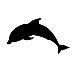 Fototapeta premium dolphin silhouette isolated on white