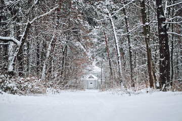 Winters Tale, Christmas holidays. One cottage in a beautiful pine snow forest. Winter house in snow forest panoramic landscape