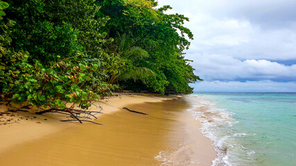 plaża w tropikach