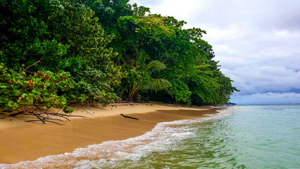 plaża w tropikach