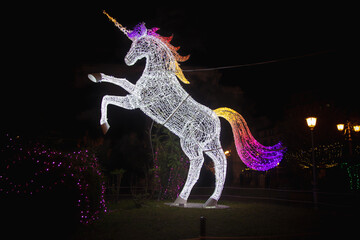 Fototapeta na wymiar lights horse xmas in the night