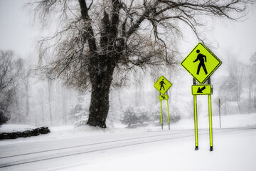 Bright yellow fluorescent crossing signs stand out on this grey snowy day in Windsor in Broome County in Upstate NY.  Without the sign you might think this is a B&W image.  - Powered by Adobe